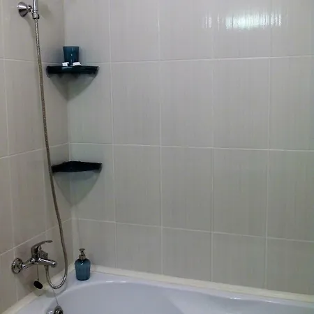 Apartment Mill Lake Bukarest